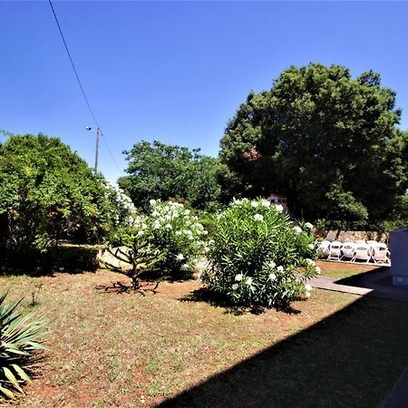 Apartments Smitran بنجول المظهر الخارجي الصورة